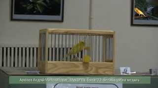 ІІІ Всеукраинский конкурс "Кенар-солист 2013"