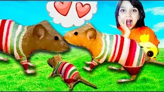 СИМУЛЯТОР Маленькой МЫШИ #2 СЕМЬЯ напала ЗМЕЯ ДЕТИ СКИНЫ  детский летсплей видео для детей Валеришка