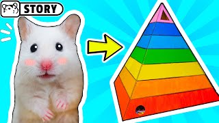 My Funny Pet Hamster in Rainbow Pyramid Maze / Hamster Pyramid Playground