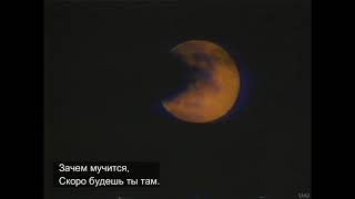 Lil Peep - Life Is Beautiful [Rus Sub/ Перевод на русский]