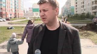 Посадка "Драгоценной аллеи" от "Золотого Телеца"