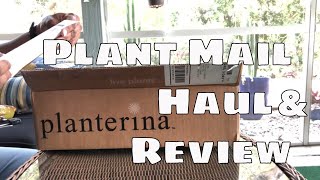 Plant Mail Haul Unboxing and Review Planterina & Almost Eden