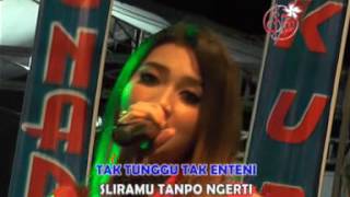 Nella Kharisma - Lilakno Aku Dek [OFFICIAL]