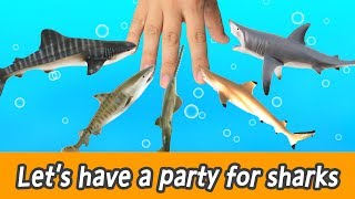 [EN] #88  Let’s have a party for sharks, kids education, learn sharks name, Collecta figureㅣCoCosToy