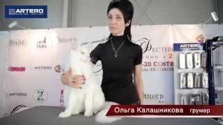 Фестиваль Груминга -2014. Ольга Калашникова. Груминг кошек