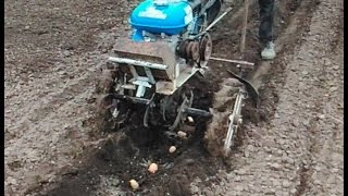 Посадка картофеля мотоблоком 2017