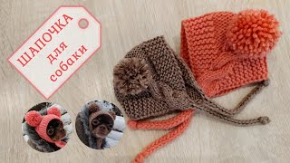 Шапочка для собаки, вязание спицами
