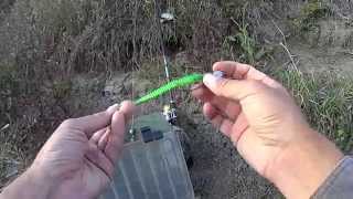 Судак и щука на Keitech Swing Impact. Walleye and pike on jig.