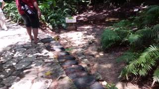 沖縄 パワースポット 斎場御嶽 セーファウタキ  琉球王国最高の聖地 寄満へ