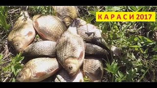 Рыбалка. Ловля карася на поплавочную удочку - Народная рыбалка