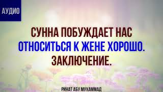 Сунна побуждает нас относиться к жене хорошо. Заключение || Ринат Абу Мухаммад