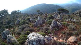 κυνηγι λαγου με ιστριας 3