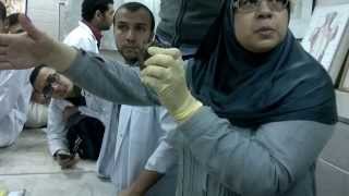 Reproductive Module l Third section ,Male Genital System l Section 7