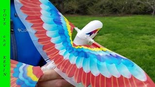 Заводная игрушка ЛЕТАЮЩАЯ ПТИЧКА, которая МАШЕТ КРЫЛЬЯМИ Wind up flying bird toy