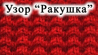 Вязание спицами.  Узор "Ракушка"