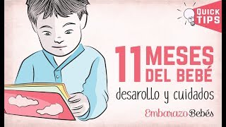 ONCE meses del bebé | 11 MES | Desarrollo y cuidados ?✅