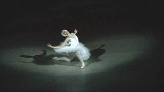 Алина Сомова лебедь Мариинский балет Alina Somova Dying Swan