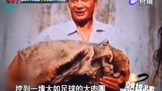 熱線追蹤 2012-01-16 pt.1/5 太歲與紫微