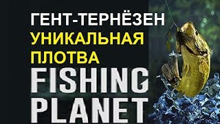 Уникальная плотва на канале Гент-тернёзен Fishing planet