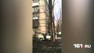 Альпинисты спасли кота