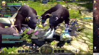Dragon Nest ПРОХОЖДЕНИЕ