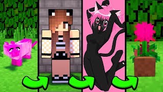 КАК МЕНЯЛАСЬ ДЕВУШКА КОШКА ОЦЕЛОТ ТИГРИЦА В МАЙНКРАФТ! ЭВОЛЮЦИЯ ДЕВУШКА ТРОЛЛИНГ НУБ И ПРО МАЙН