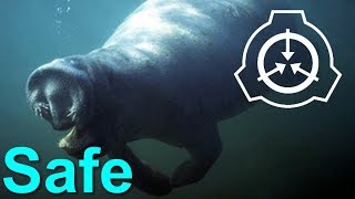 【怪異264】SCP-1813 - シュレーディンガー