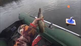 Закрытие сезона 2017 по открытой воде. Ловля щуки на жерлицы и кружки.