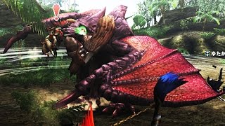 【MHF-G】G級HCゲリョス亜種　パートニャー達と討伐！【特異個体】