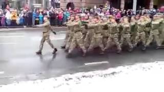 Парад в Таллинне 24.02.2016 +( комментарии ОТПАД )