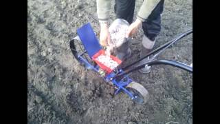 Посев фасоли !!! Ручной сеялкой  Винница
