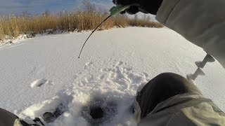 С блесной за окунями по озеру Таватуй