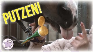 PUTZROUTINE! | Wie werden meine Pferde sauber! | BinieBo