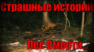 Страшные истории совместно с Алексом Казановым: Лес Смерти