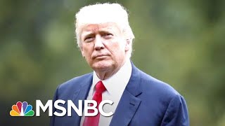 Donald Trump To Dreamers: 'Tell 'Em Not To Worry' About Deportation | The Last Word | MSNBC
