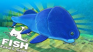 ДРЕВНЯЯ РЫБА-ДИНОЗАВР, ОБНОВЛЕНИЕ | Feed and Grow Fish