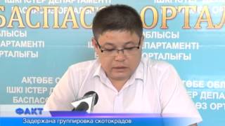 Задержана группировка скотокрадов