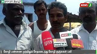 திருப்பூர் மாவட்டத்தில் சூறைக்காற்றுடன் கனமழை || Tirupur