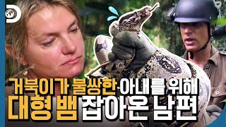 거북이가 불쌍해서 못 먹어? 그럼 내 팔에 감긴 뱀은 어때^^? [부부 생존단]