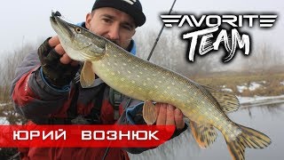 Favorite Team. Зачетная рыбалка в феврале. Активный клев щуки на спиннинг.