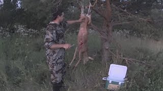 Охота на косулю. Как РАЗОБРАТЬ косулю в ЛЕСУ. Контейнер Арктика.