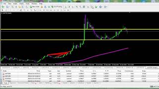 My view on the Turkish Lira and the economy