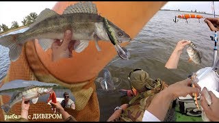 Видеоотчёт по приманкам ХИМЕРА, новые воблеры СИЛЬВЕР ФОКС и как они отловились. Харабали