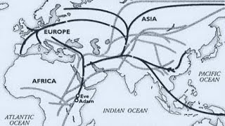 The Journey of Man - A Genetic Odyssey