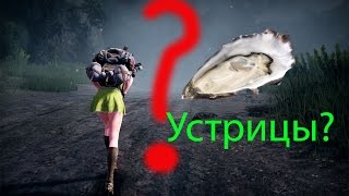 Black Desert добыча устриц