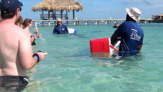 Dolphin Swim & Snorkel at Isla Roatan, Honduras 1.12.12