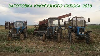 Заготовка кукурузного силоса 2018