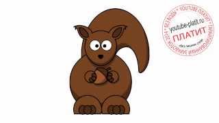 Как нарисовать лесную белку