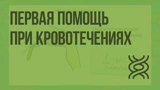 Первая помощь при кровотечениях. Видеоурок по биологии 8 класс