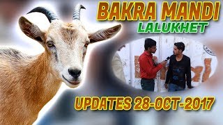 Bakra mandi Lalukhet Updates 28-OCT-2017 Jamshed Asmi Informative Channel In (Urdu/Hindi)